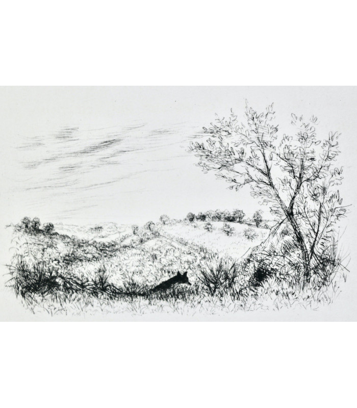 PAULIN - Le Roman de Renart - FRÉLAUT (Jean)