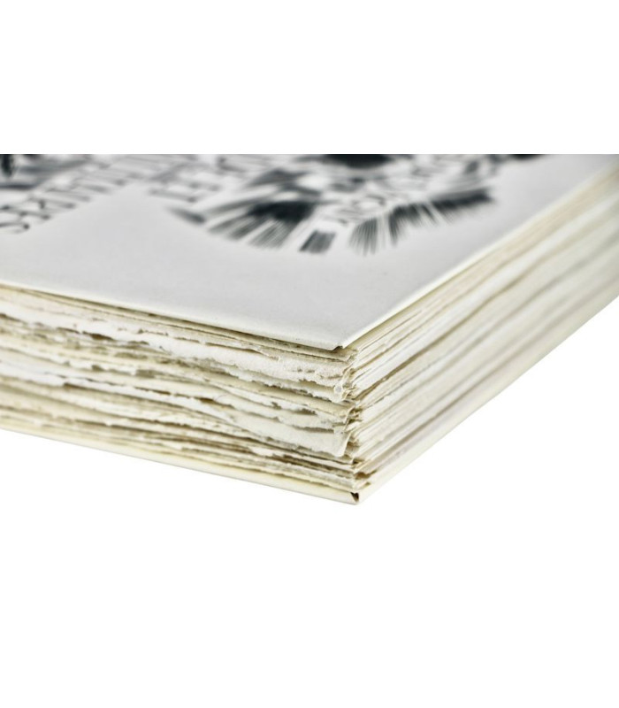 VIGNY (Alfred de) - Servitude et Grandeur militaires - DECARIS (Albert)