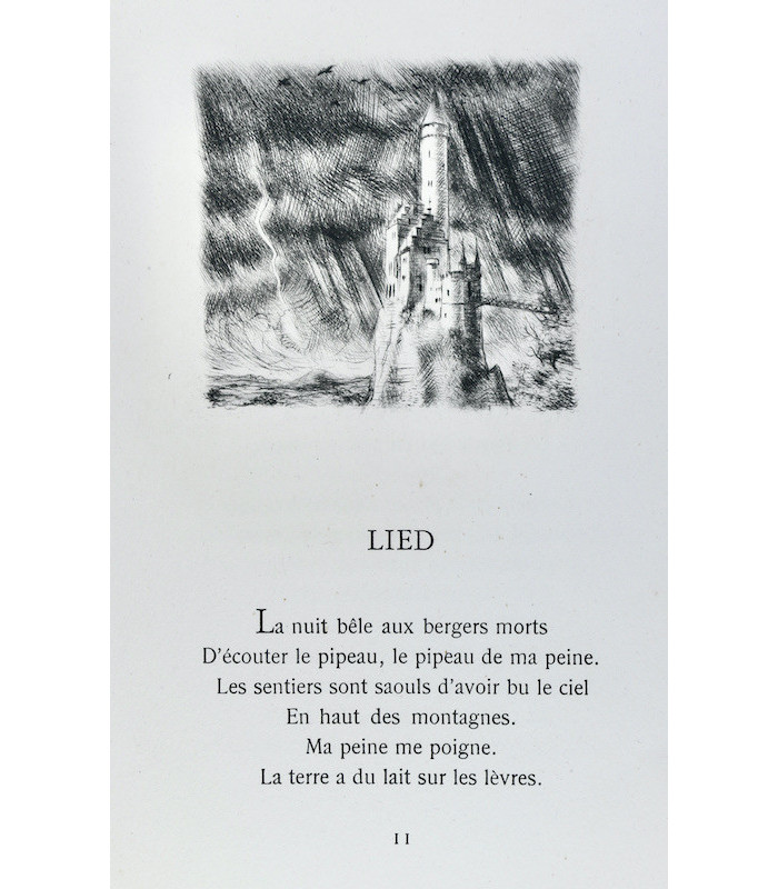 HEUYER (Pierre) - Leçon des ténèbres - CIRY (Michel)