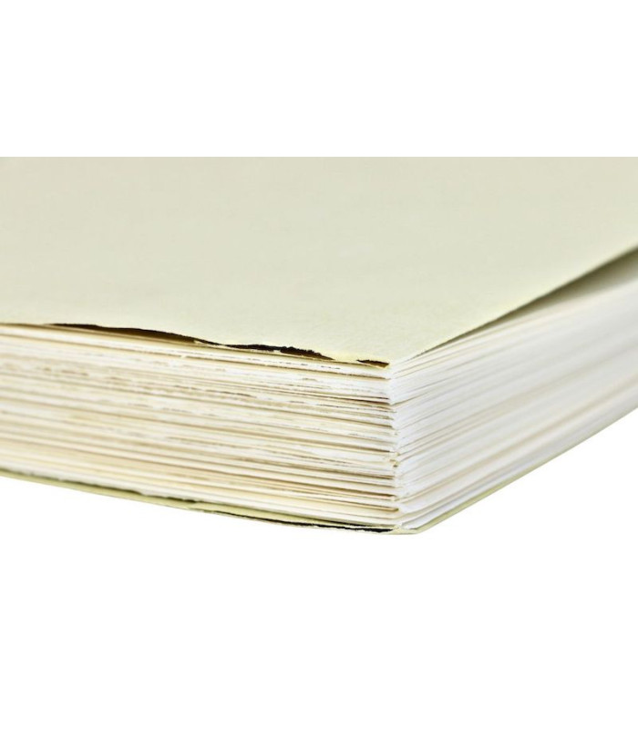 DELARUE-MARDRUS (Lucie) - Lumières de Honfleur - HAMBOURG (André)