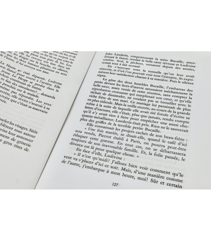 DELARUE-MARDRUS (Lucie) - Lumières de Honfleur - HAMBOURG (André)