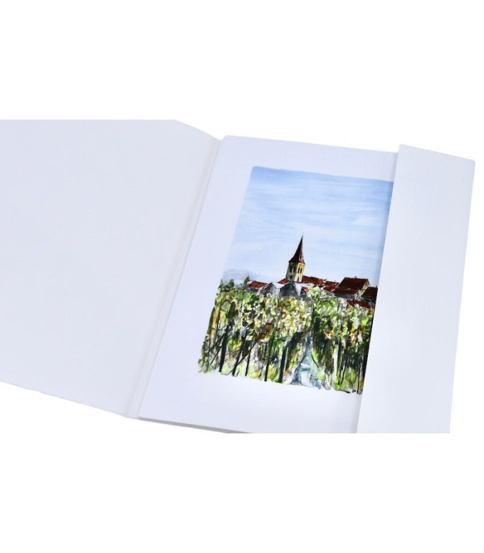 SCHMITT (Pierre) - Alsace. Enchantements de la route des vignes - RÉMON (Jean-Pierre)