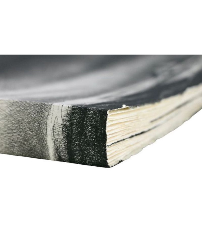 SCHWOB (Marcel) - Le Roi au masque d'or - AIRAM (Daniel)