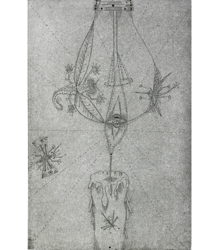 LOUIS-COMBET (Claude) - Transphallie - GWEZENNEG (J.G.)