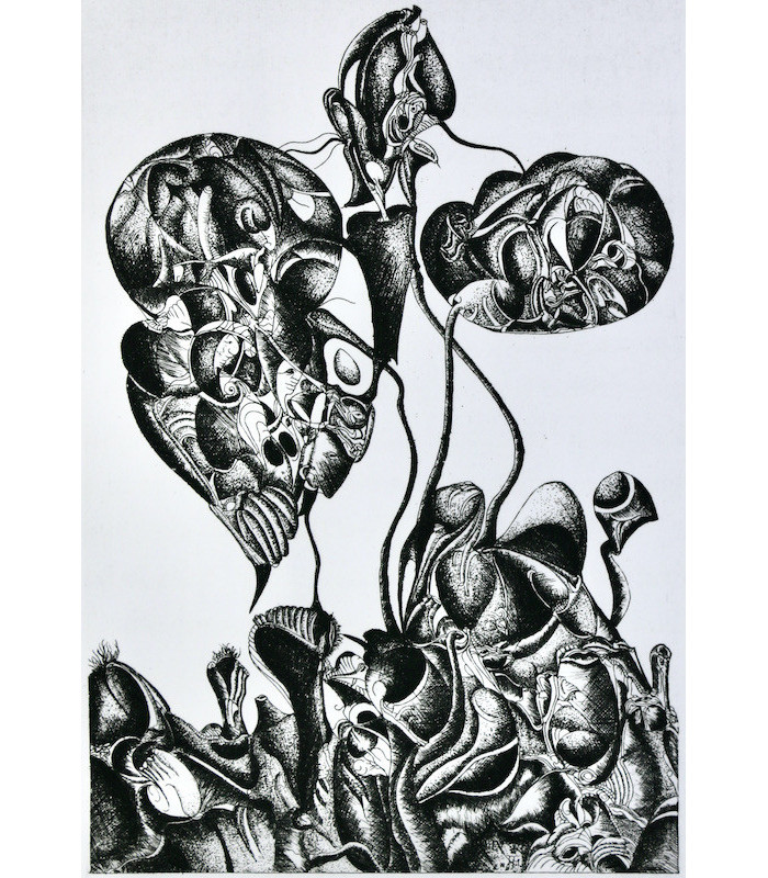 LOUIS-COMBET (Claude) - Transphallie - GWEZENNEG (J.G.)