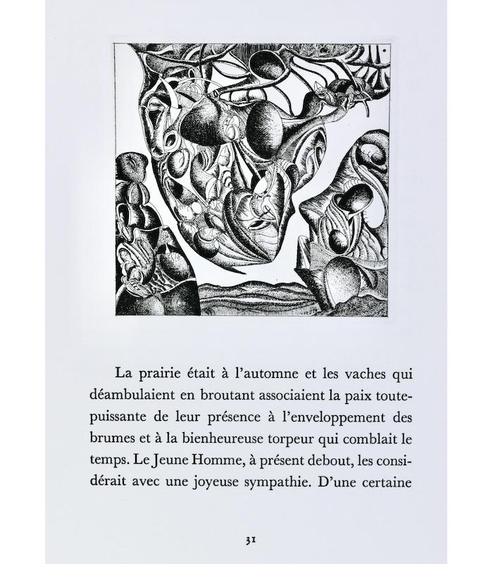 LOUIS-COMBET (Claude) - Transphallie - GWEZENNEG (J.G.)