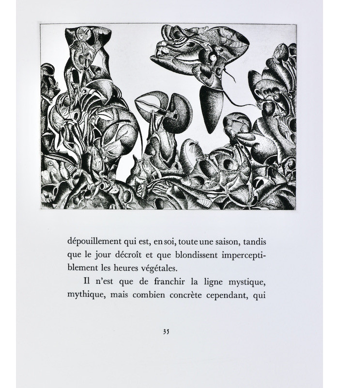 LOUIS-COMBET (Claude) - Transphallie - GWEZENNEG (J.G.)