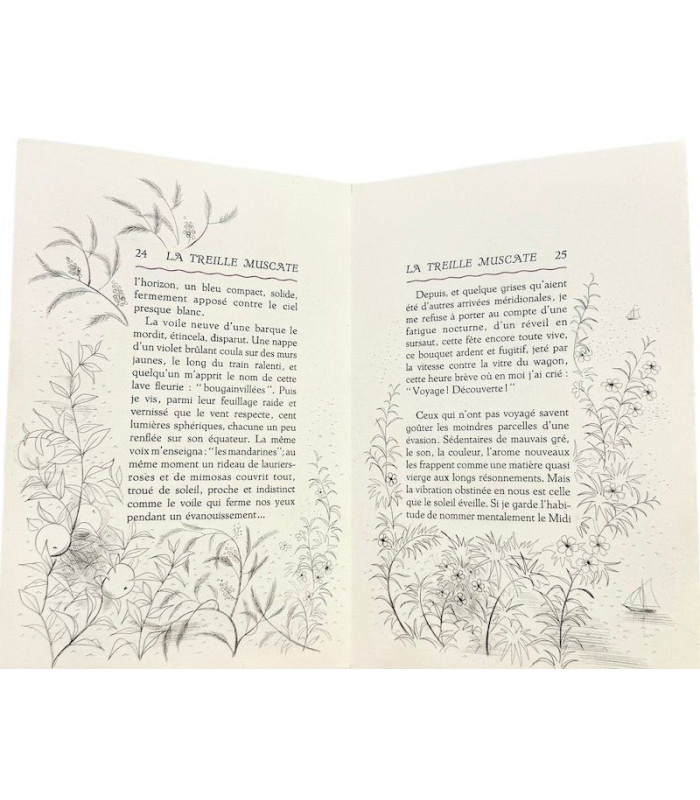 COLETTE - La Treille muscate - CLOUZOT (Marianne)