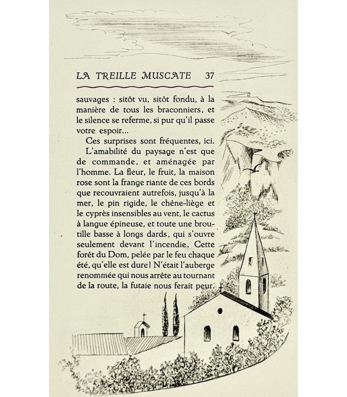 COLETTE - La Treille muscate - CLOUZOT (Marianne)