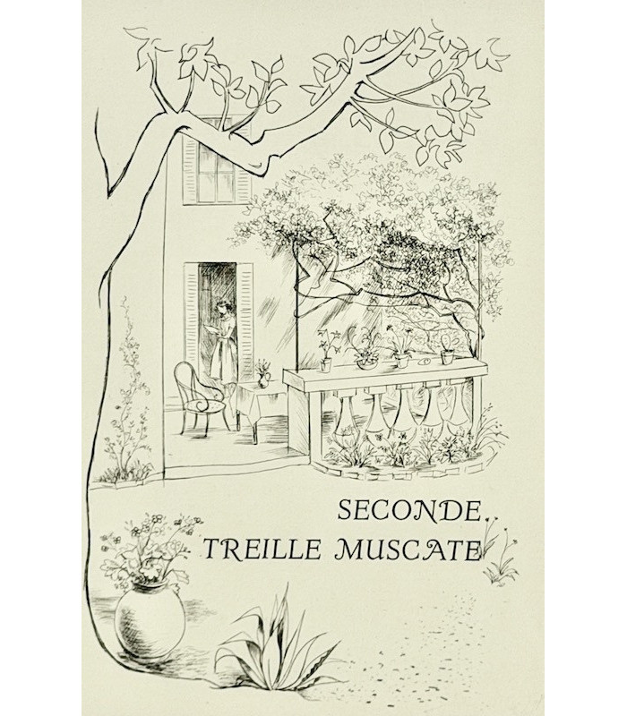 COLETTE - La Treille muscate - CLOUZOT (Marianne)