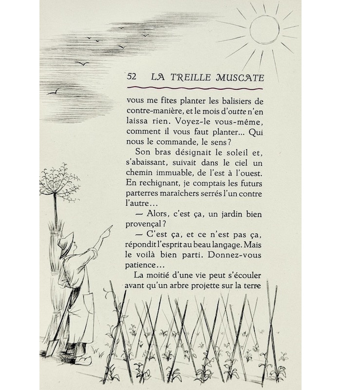 COLETTE - La Treille muscate - CLOUZOT (Marianne)