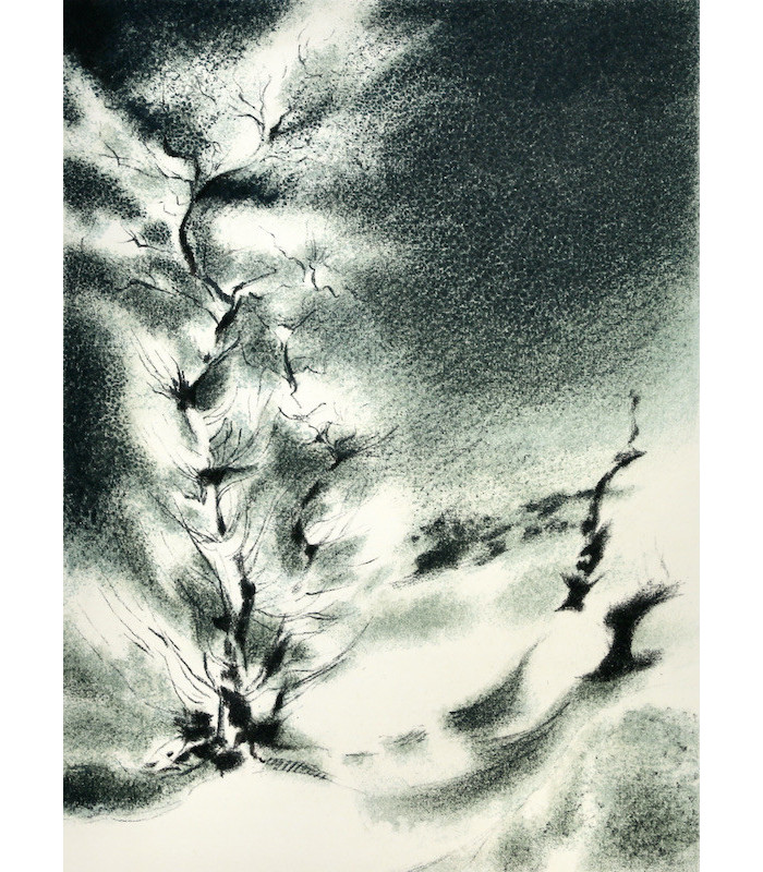 BOSCO (Henri) - Sylvius - MARCO (Liliane)