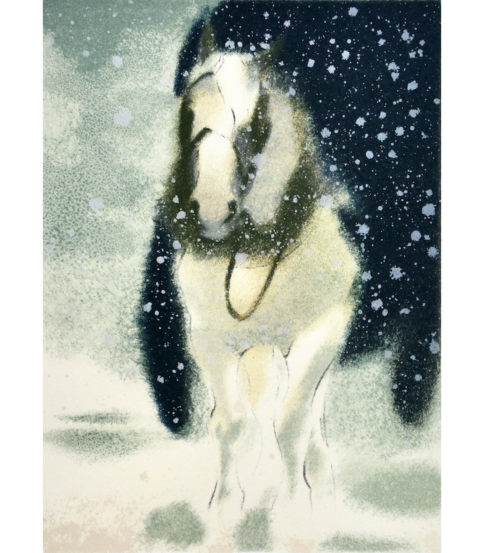 BOSCO (Henri) - Sylvius - MARCO (Liliane)