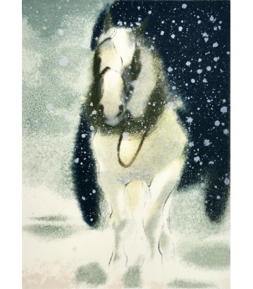 BOSCO (Henri) - Sylvius - MARCO (Liliane)