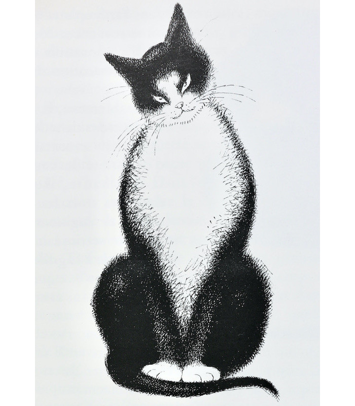 MERY (Docteur F.) - Entre chats - DUBOUT (Albert)