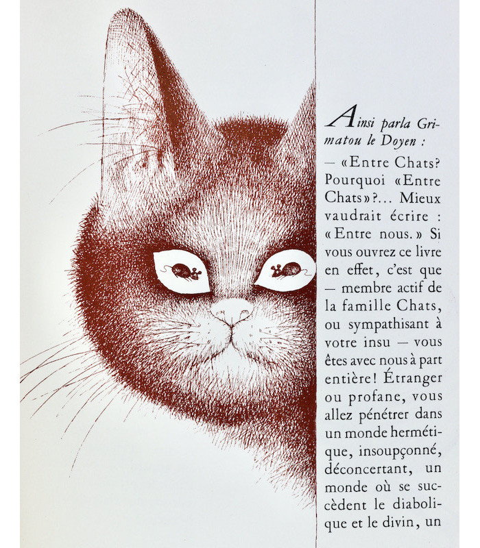MERY (Docteur F.) - Entre chats - DUBOUT (Albert)