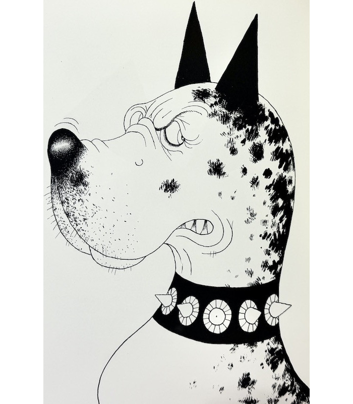 MERY (Docteur F.) - Entre chiens - DUBOUT (Albert)