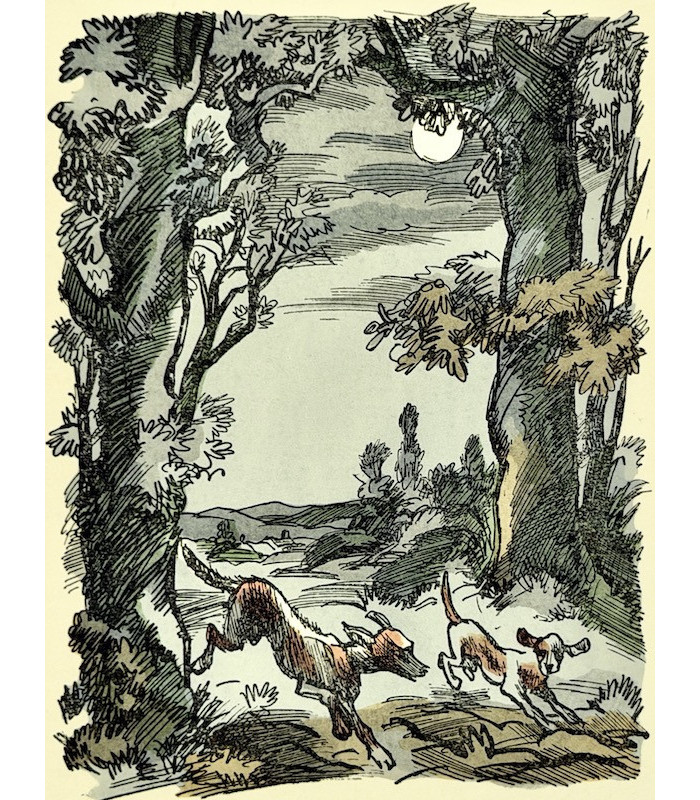 PERGAUD (Louis) - Le Roman de Miraut. Chien de chasse - COLLOT (André)