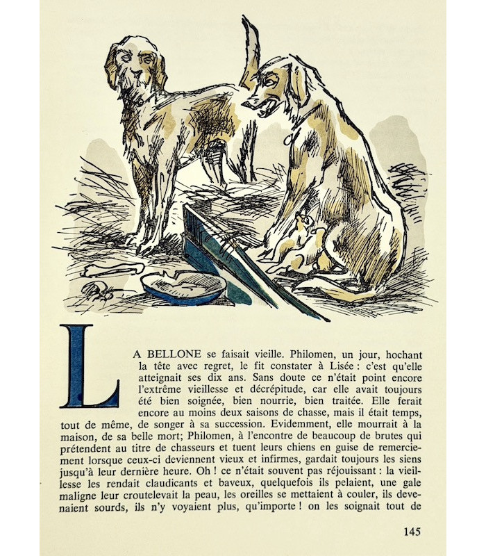 PERGAUD (Louis) - Le Roman de Miraut. Chien de chasse - COLLOT (André)