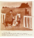 SAINTYVES (Pierre) - Les Cinquante jugements de Salomon - TOUCHET (Jacques)