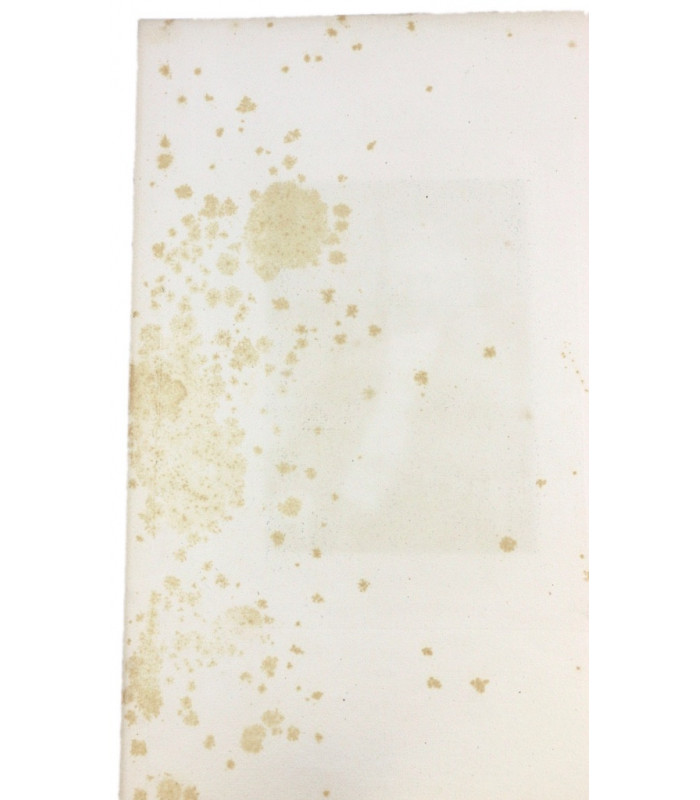 BERNARDIN de SAINT PIERRE (Jacques-Henri) - Paul et Virginie