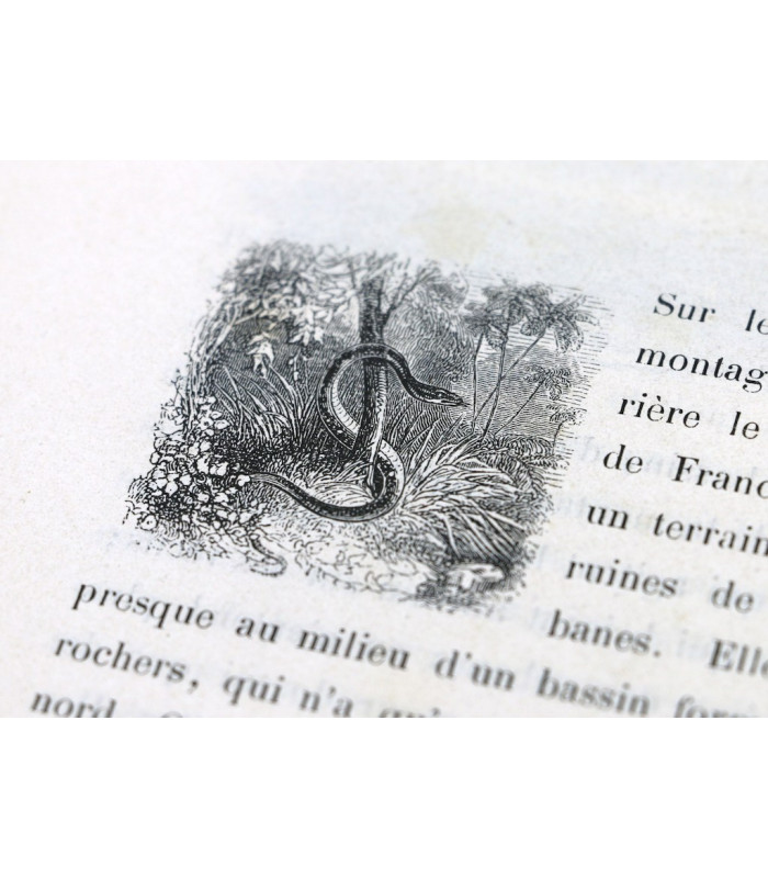 BERNARDIN de SAINT PIERRE (Jacques-Henri) - Paul et Virginie