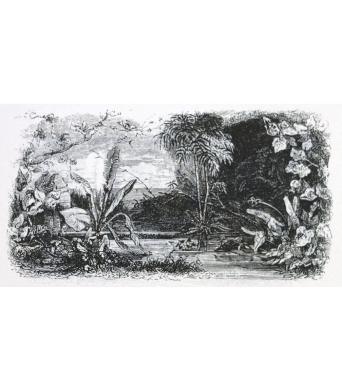 BERNARDIN de SAINT PIERRE (Jacques-Henri) - Paul et Virginie