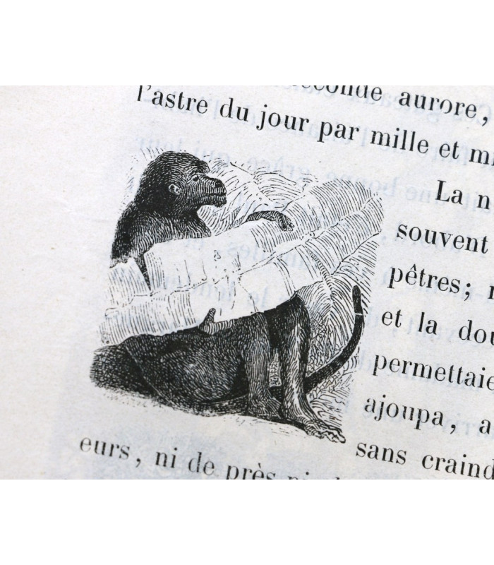 BERNARDIN de SAINT PIERRE (Jacques-Henri) - Paul et Virginie