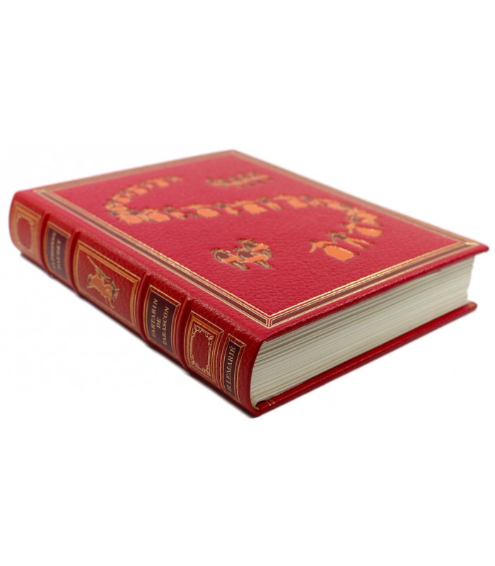 DAUDET (Alphonse) - Tartarin de Tarascon - Contes du lundi - Lettres de mon moulin - LEMARIÉ (Henry)