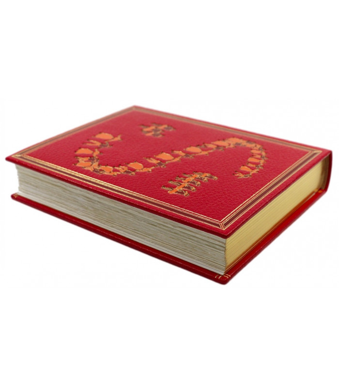 DAUDET (Alphonse) - Tartarin de Tarascon - Contes du lundi - Lettres de mon moulin - LEMARIÉ (Henry)