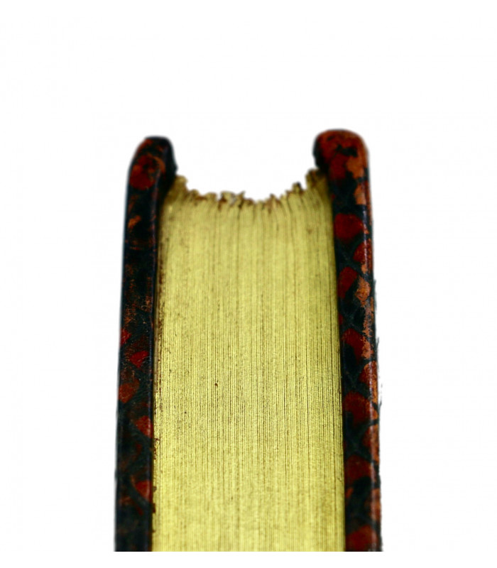 MAGRE (Maurice) - Les Belles de nuit - CHIMOT (Édouard)