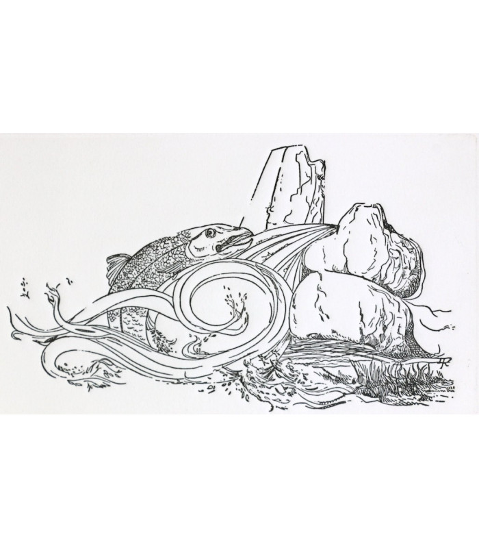 LARTEGUY (Jean) - Si tu reviens en Margeride - RIVIÈRE (Daniel)