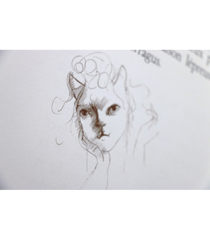 WALDBERG (Patrick) - Les Leçons - FINI (Léonor)