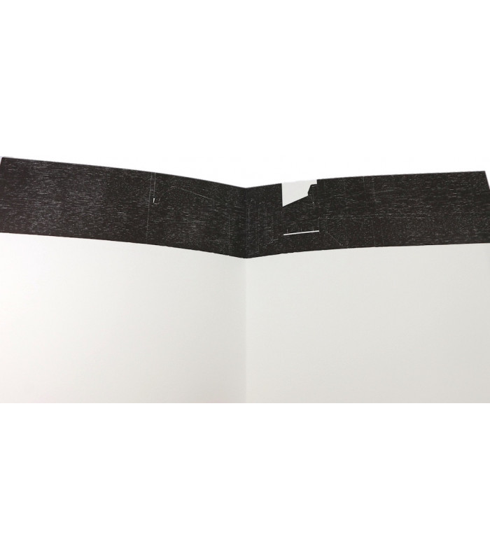 LASCAULT (Gilbert) - La Bastide sous le soleil - BABOU (Christian)