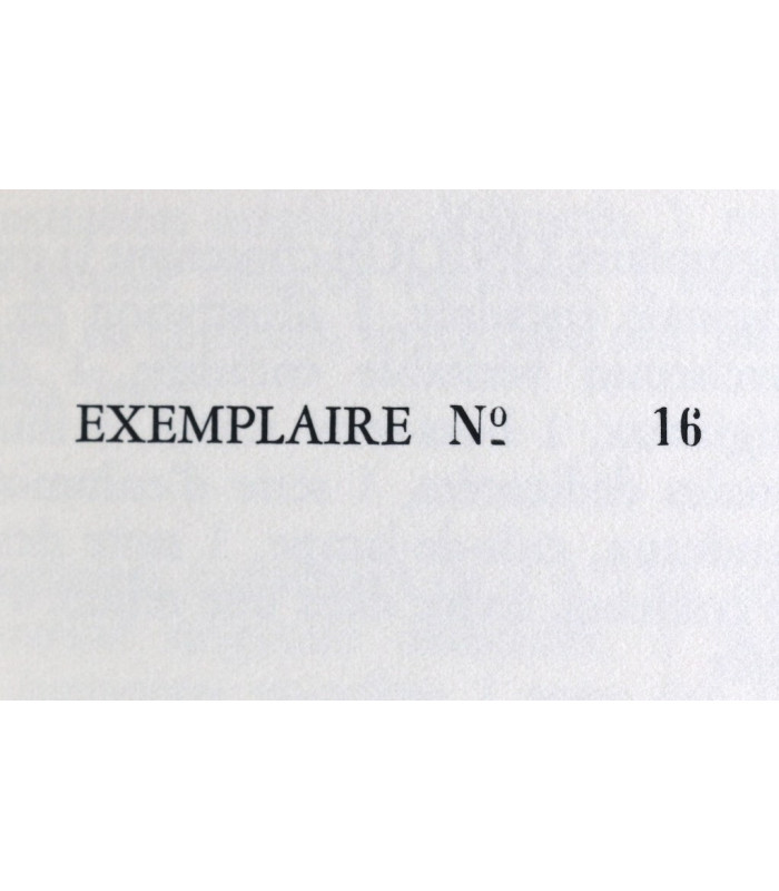 PERRAULT (Charles) - Contes de Perrault et du Temps Jadis - BOUCHER (Lucy)
