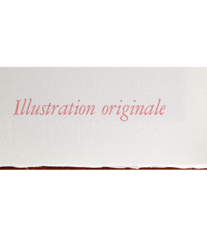 PERRAULT (Charles) - Contes de Perrault et du Temps Jadis - BOUCHER (Lucy)