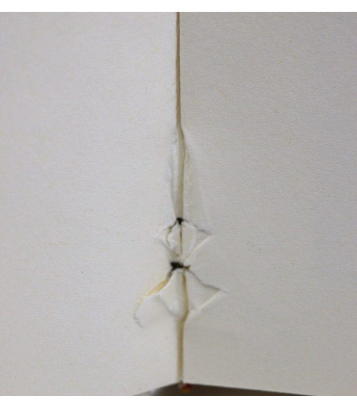 LORA (Silvano) - Dialogo con Venus