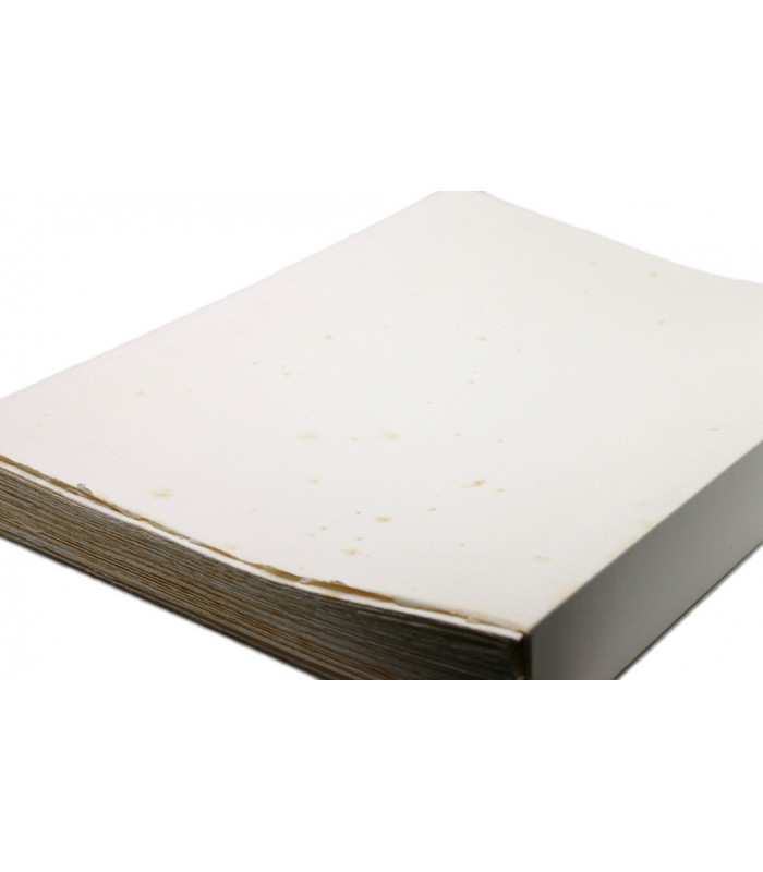 VERHAEREN (Émile) - Les villes à pignons - LAPORTE (Georges)