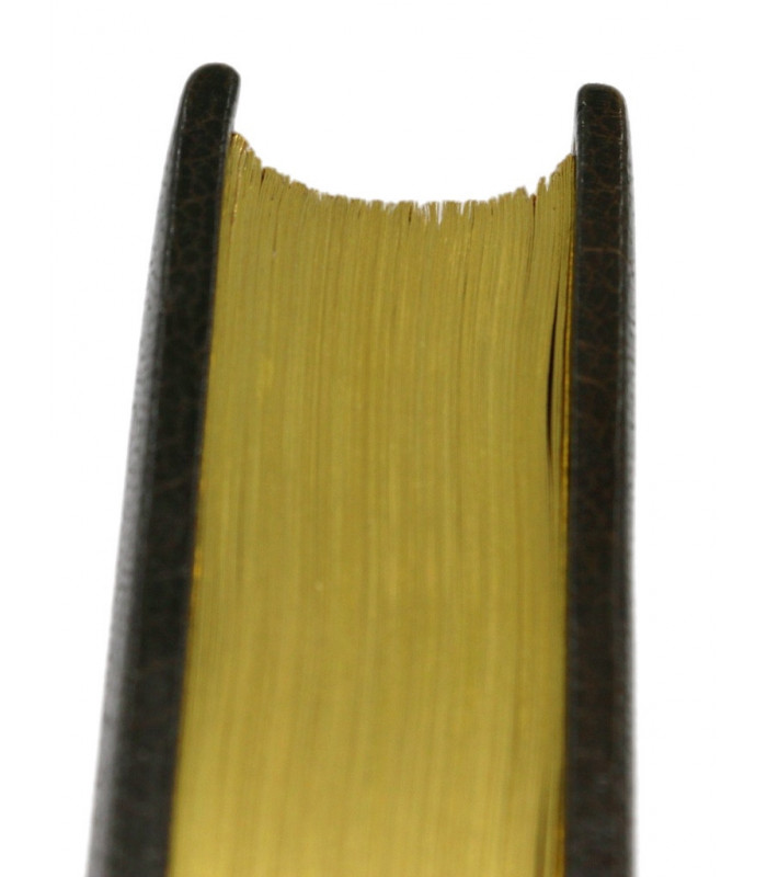 DUMAS (Alexandre) & GAILLARDET (F.) - La Tour de Nesle - ROBIDA (Albert)