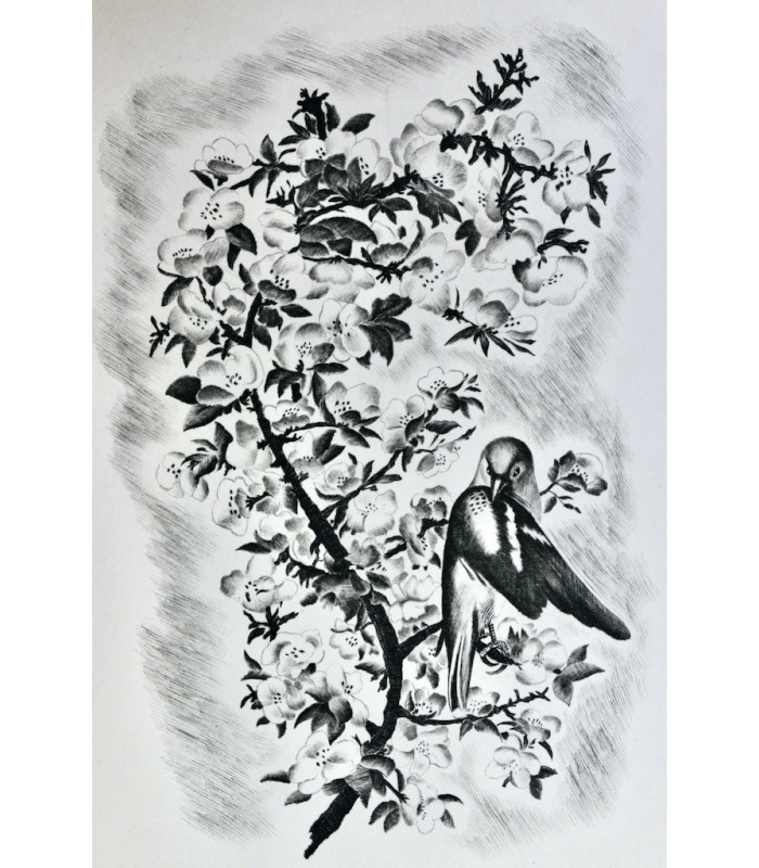 TAGORE (Rabindranath) - L’Offrande lyrique - NOTTON (Tavy)