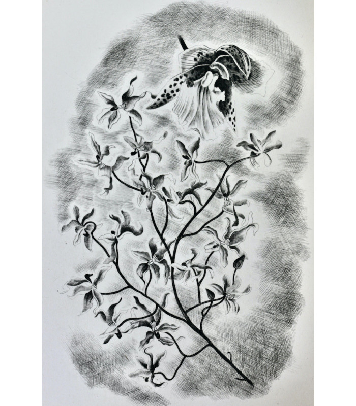 TAGORE (Rabindranath) - L’Offrande lyrique - NOTTON (Tavy)