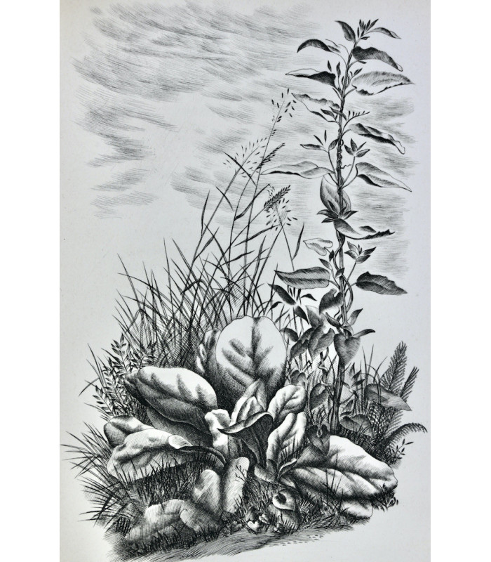 TAGORE (Rabindranath) - L’Offrande lyrique - NOTTON (Tavy)