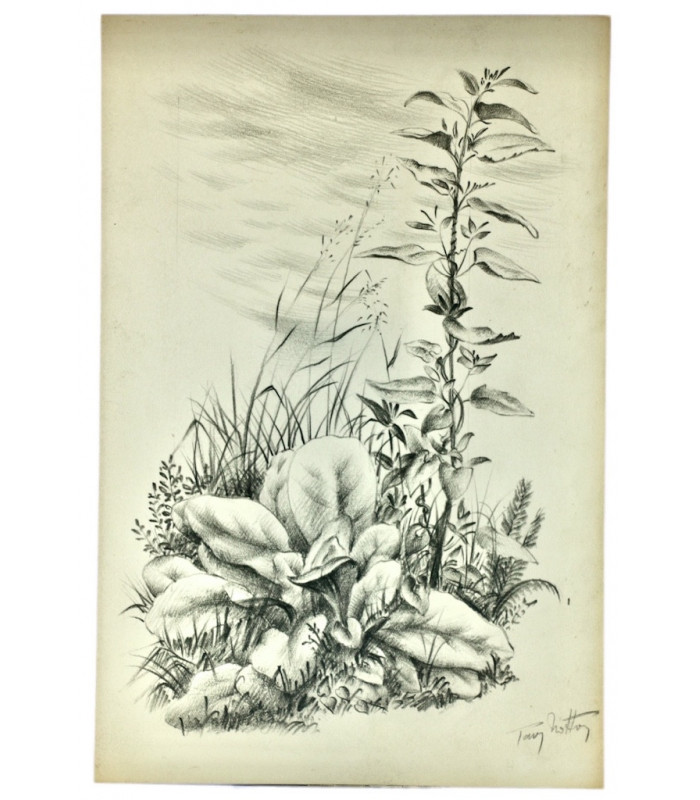 TAGORE (Rabindranath) - L’Offrande lyrique - NOTTON (Tavy)