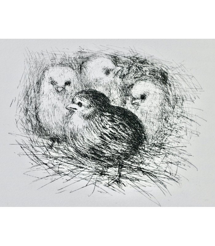 MAUPASSANT (Guy de) - Farce normande - CIRY (Michel)