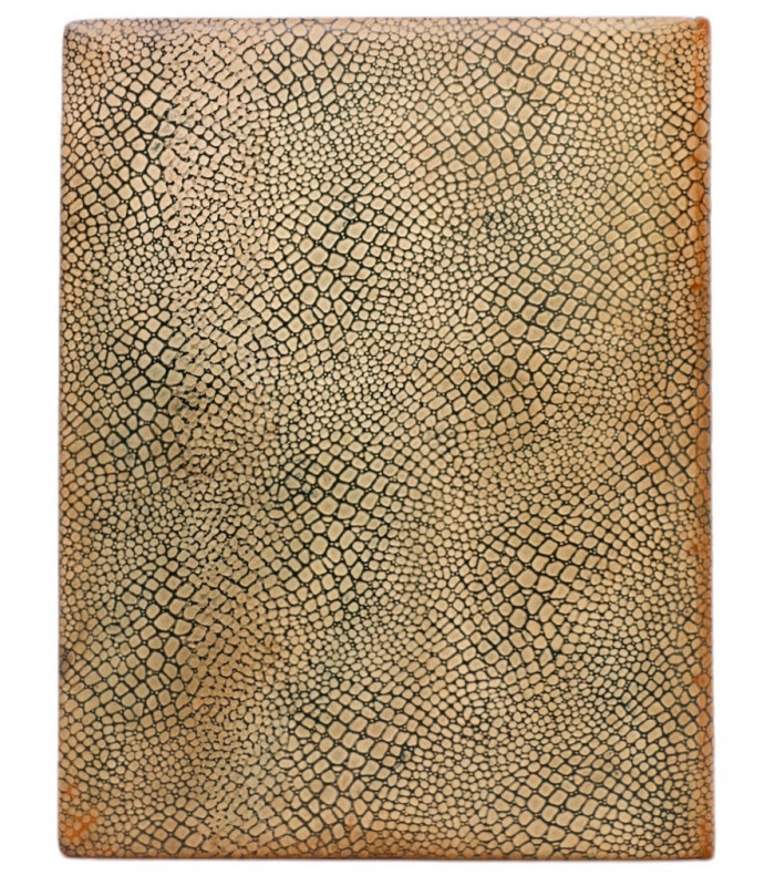 BAUDELAIRE (Charles) - Femmes damnées - BRACQUEMOND (Émile)