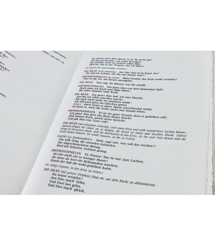 GOETHE - Faust - BELTZ (Robert)